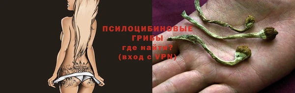 соль ск Армянск