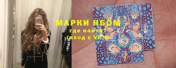 прущая мука Арсеньев