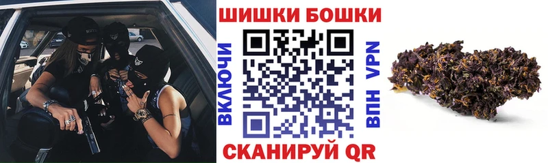 Конопля план  купить наркотики сайты  KRAKEN как войти  Заволжск 